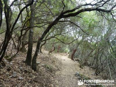 Parque Nacional Monfragüe - Reserva Natural Garganta de los Infiernos-Jerte;viajes y excursiones